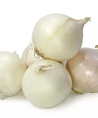 лук Альбион