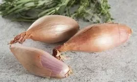 лук Деликатес