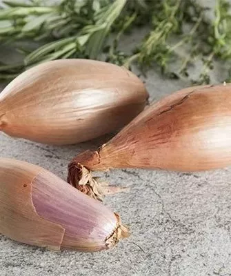 лук Деликатес