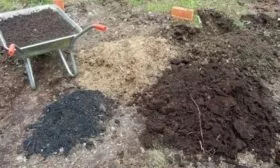 лук Джусай - торфяник для посадки