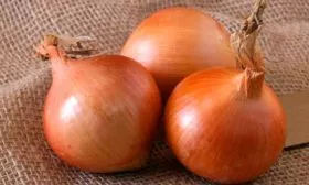 Лук Халцедон луковицы