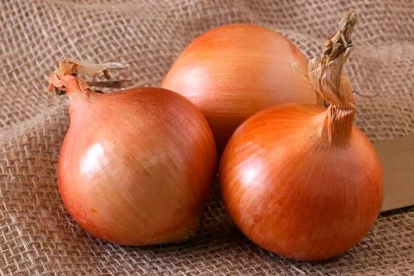 Лук Халцедон луковицы