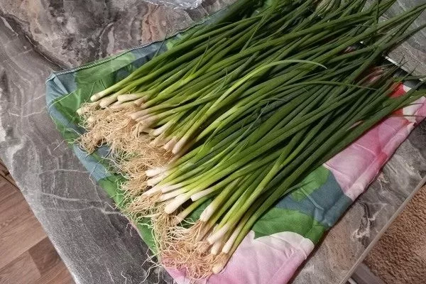 лук Лонг Токио