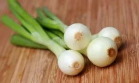 лук Лукоморье