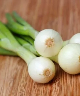 лук Лукоморье