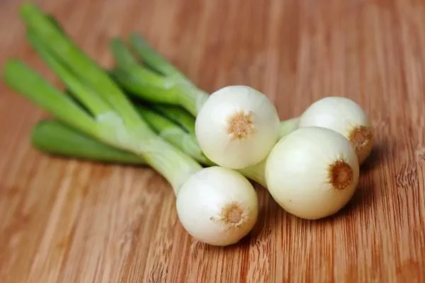 лук Лукоморье