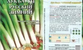 лук Русский зимний