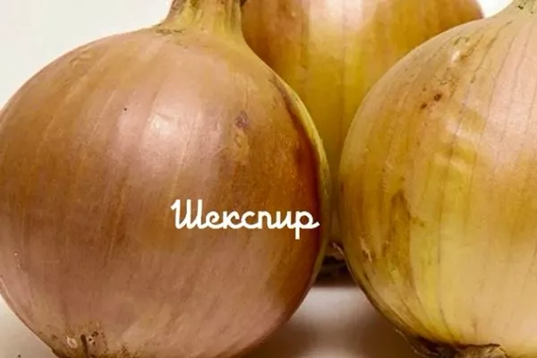 Лук Шекспир