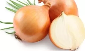 Лук Шекспир_ описание луковицы