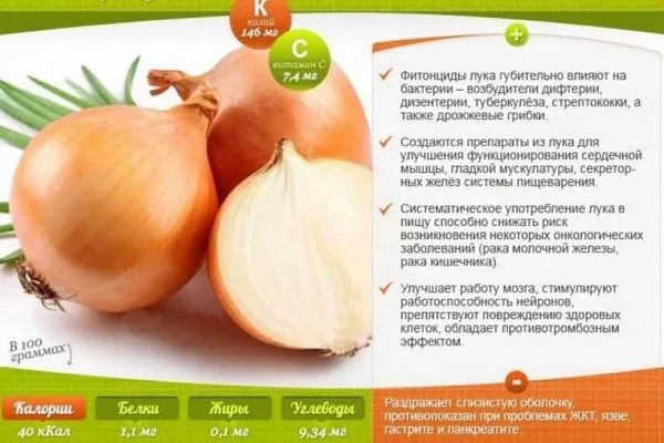 Лук Шекспир: польза