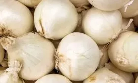 лук сорта Альбион