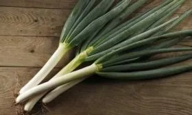 лук сорта Серёжа