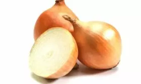 лук сорта Трой