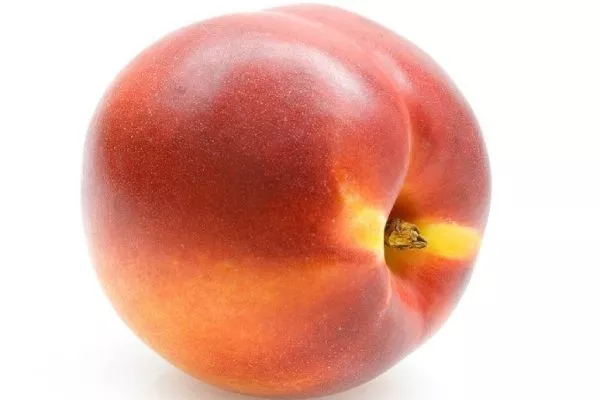 лысый персик