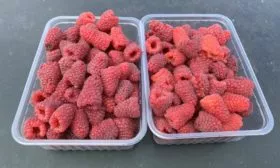 неглубокие контейнеры для сбора урожая Похвалинки