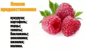 плохие предшественники Похвалинки
