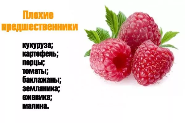 плохие предшественники Похвалинки