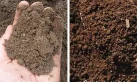 подходящие почвы для малины Похвалинка