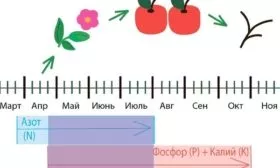 подкормки ПОхвалинки для получения богатого урожая