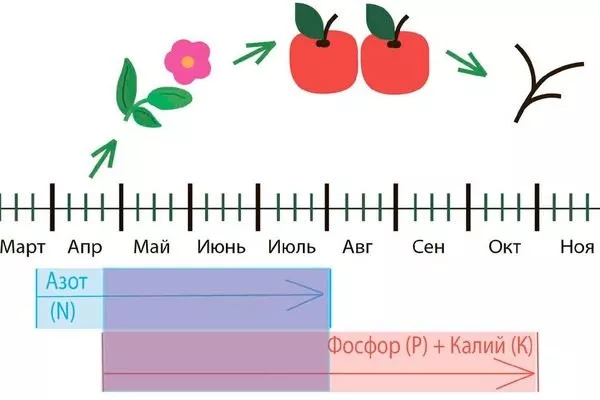 подкормки ПОхвалинки для получения богатого урожая