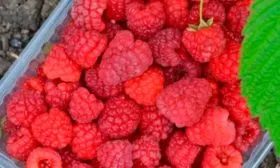 Как хранить