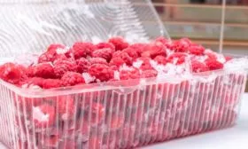 Малина Бриллиантовая заморозка