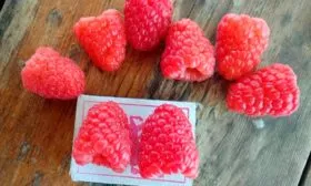 Малина Маравилла размеры