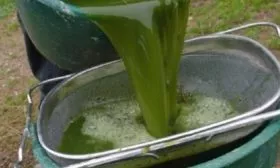 Малина Новость Кузьмина: настой сорняков с добавлением золы