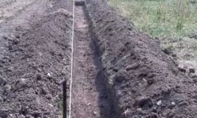 Малина Новость Кузьмина: подготовьте борозды шириной 50 см и глубиной 40 см