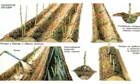 Правила посадки