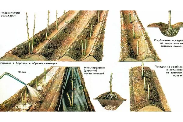 Правила посадки
