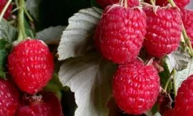 Характеристики