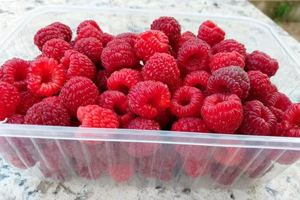 Как хранить