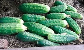 Как убрать урожай