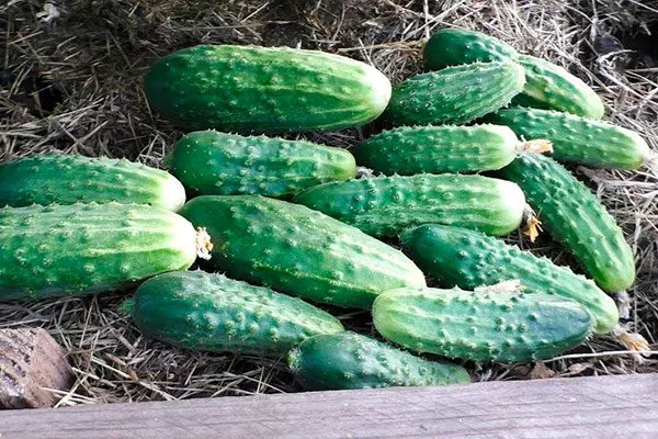 Как убрать урожай