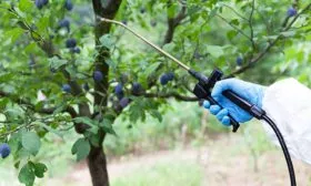 Методы борьбы и профилактики с болезнями и паразитами1