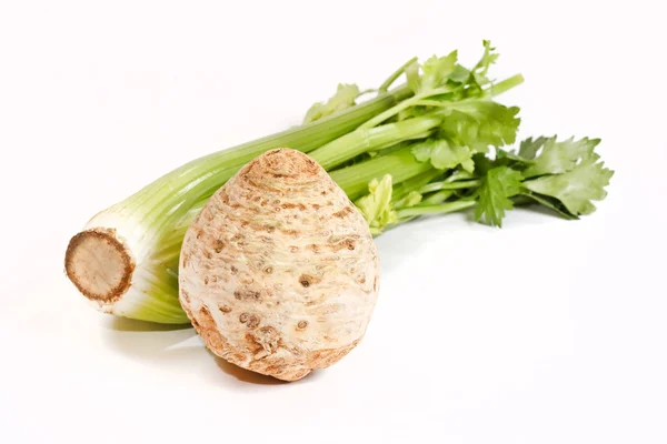 сельдерей Монарх