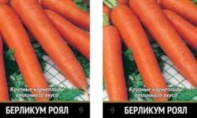 морковь Берликум Роял