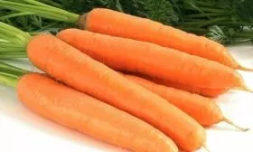 морковь Дарина