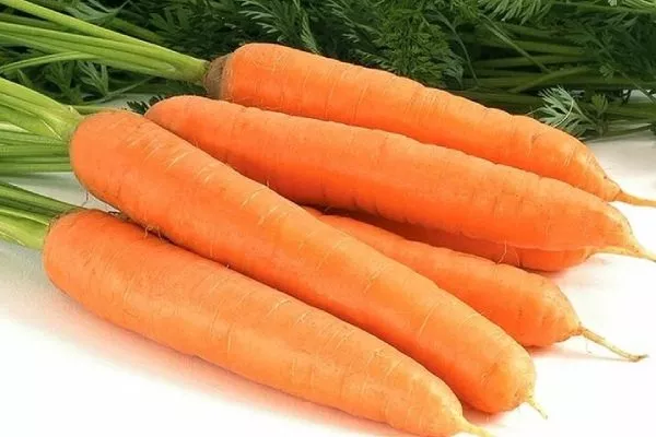 морковь Дарина