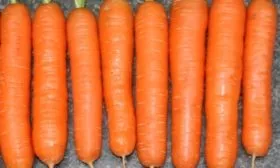 Морковь Детская сладкая