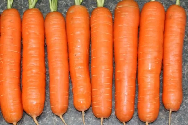 Морковь Детская сладкая