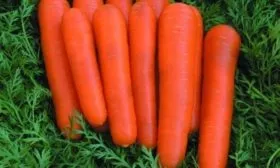 морковь Детская сладость