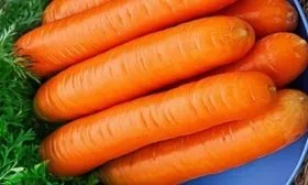 Морковь Нантская 4