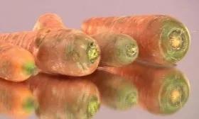 Морковь Нантская 4: Позеленение верхней части корнеплодов