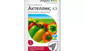 Морковь НИИОХ 336 Актеллик