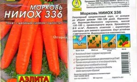 Морковь НИИОХ 336 о сорте