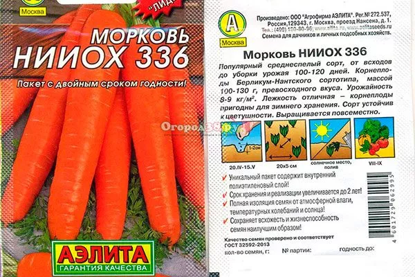 Морковь НИИОХ 336 о сорте
