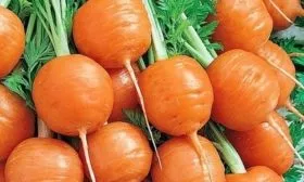 морковь Парижская Каротель