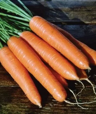 морковь Роте Ризен